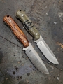BB057-BB058-02 varnai
